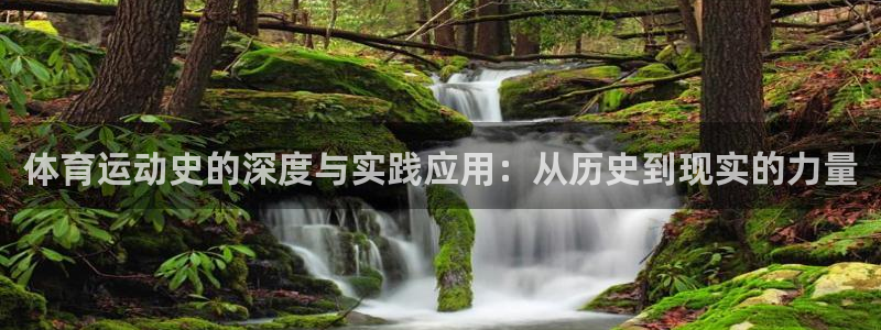 体育运动史的深度与实践应用：从历史到现实的力量
