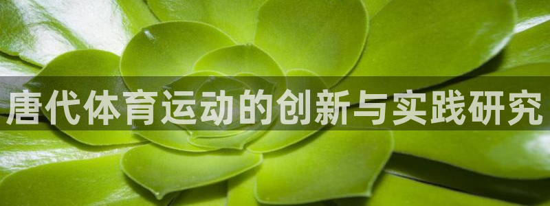 唐代体育运动的创新与实践研究