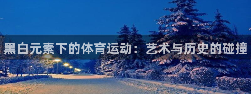 黑白元素下的体育运动：艺术与历史的碰撞