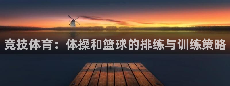 竞技体育：体操和篮球的排练与训练策略