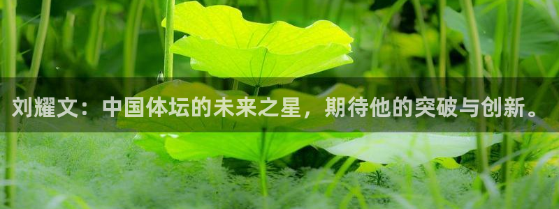 刘耀文：中国体坛的未来之星，期待他的突破与创新。