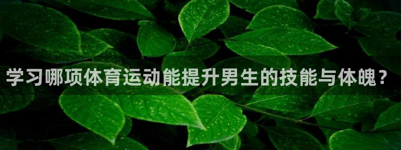 学习哪项体育运动能提升男生的技能与体魄？